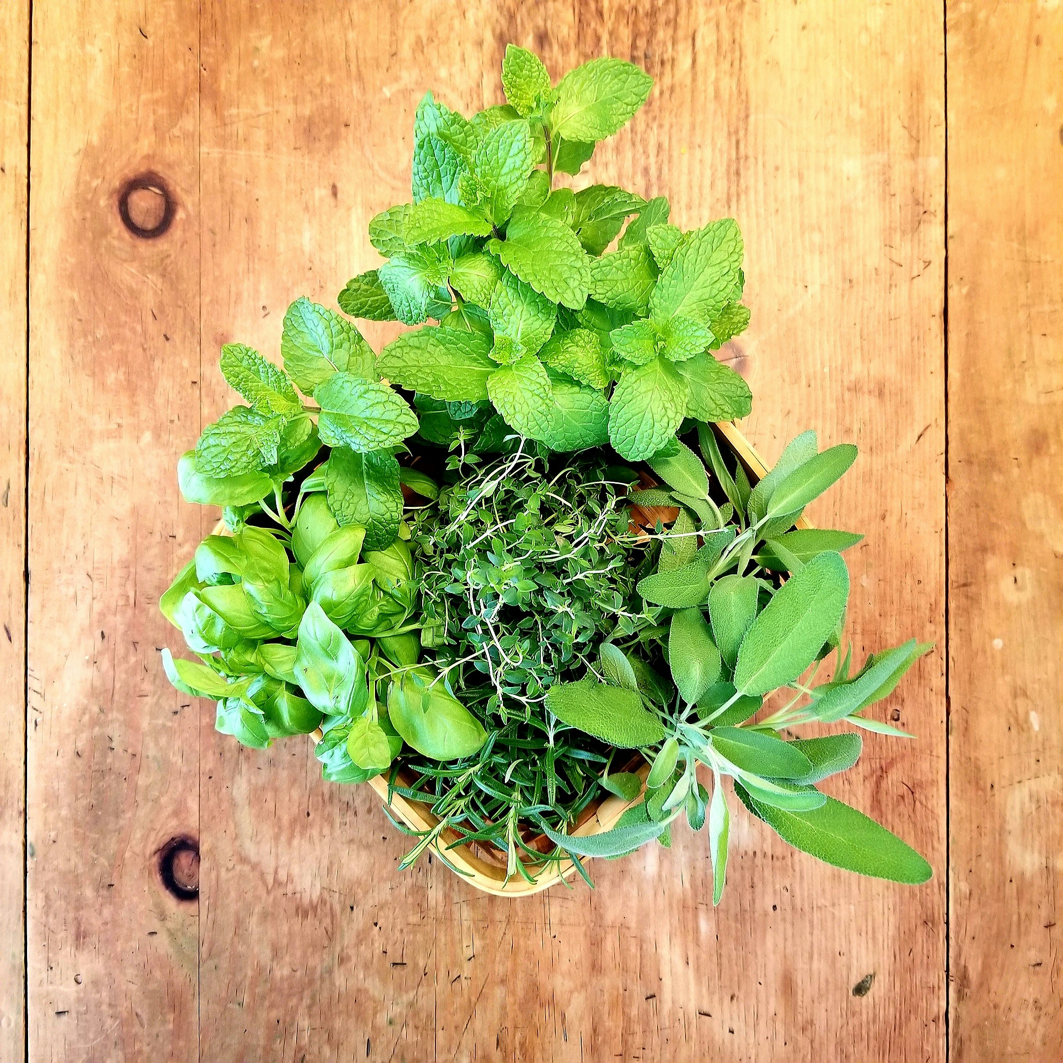 Beginner-Friendly Herbal Recipes Using Fresh Garden Herbs